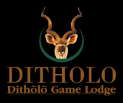 Ditholo Game Lodge logo